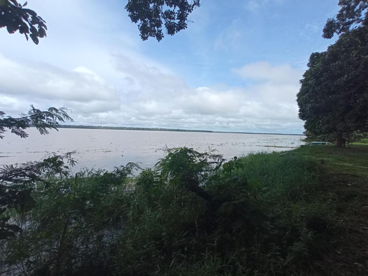 Hostal Buho Amazonas Tours 莱蒂西亚 外观 照片