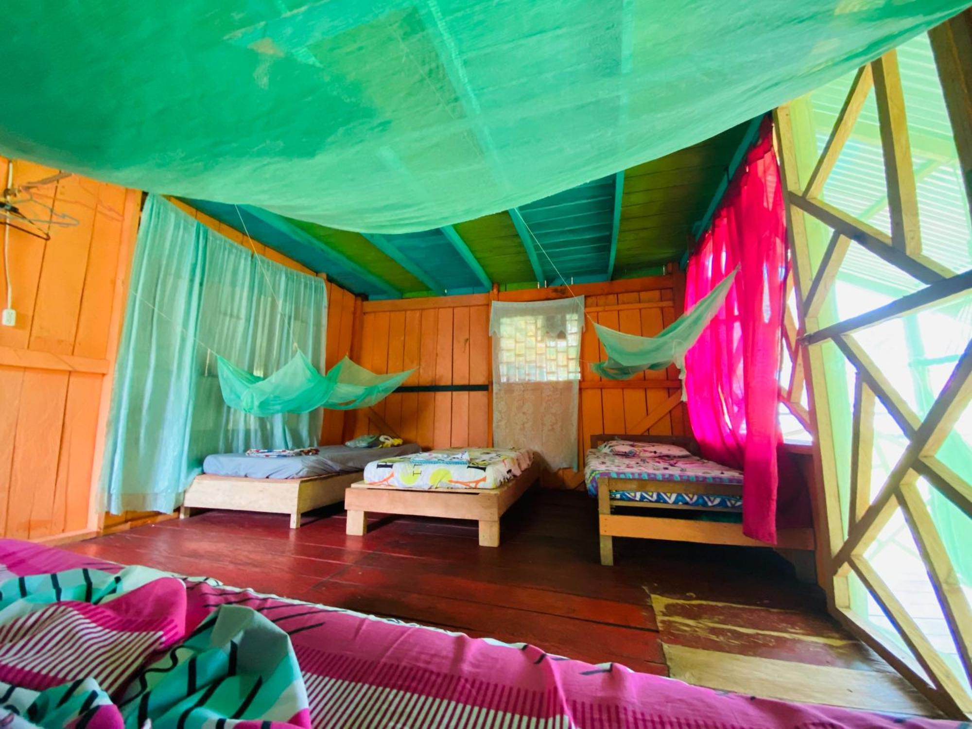 Hostal Buho Amazonas Tours 莱蒂西亚 外观 照片