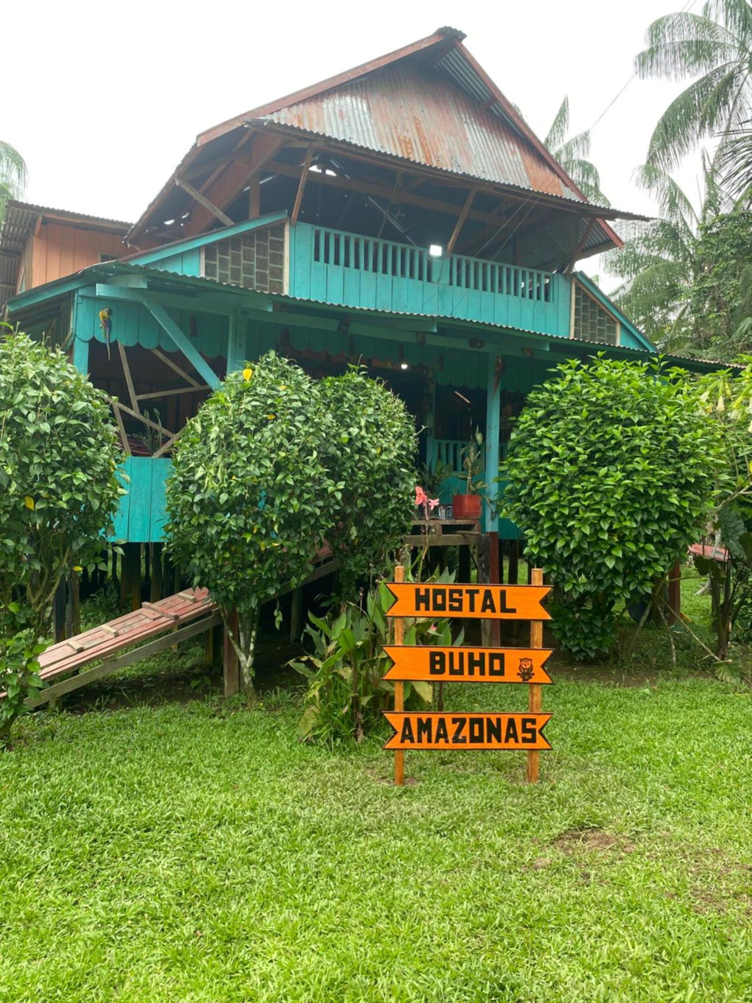 Hostal Buho Amazonas Tours 莱蒂西亚 外观 照片