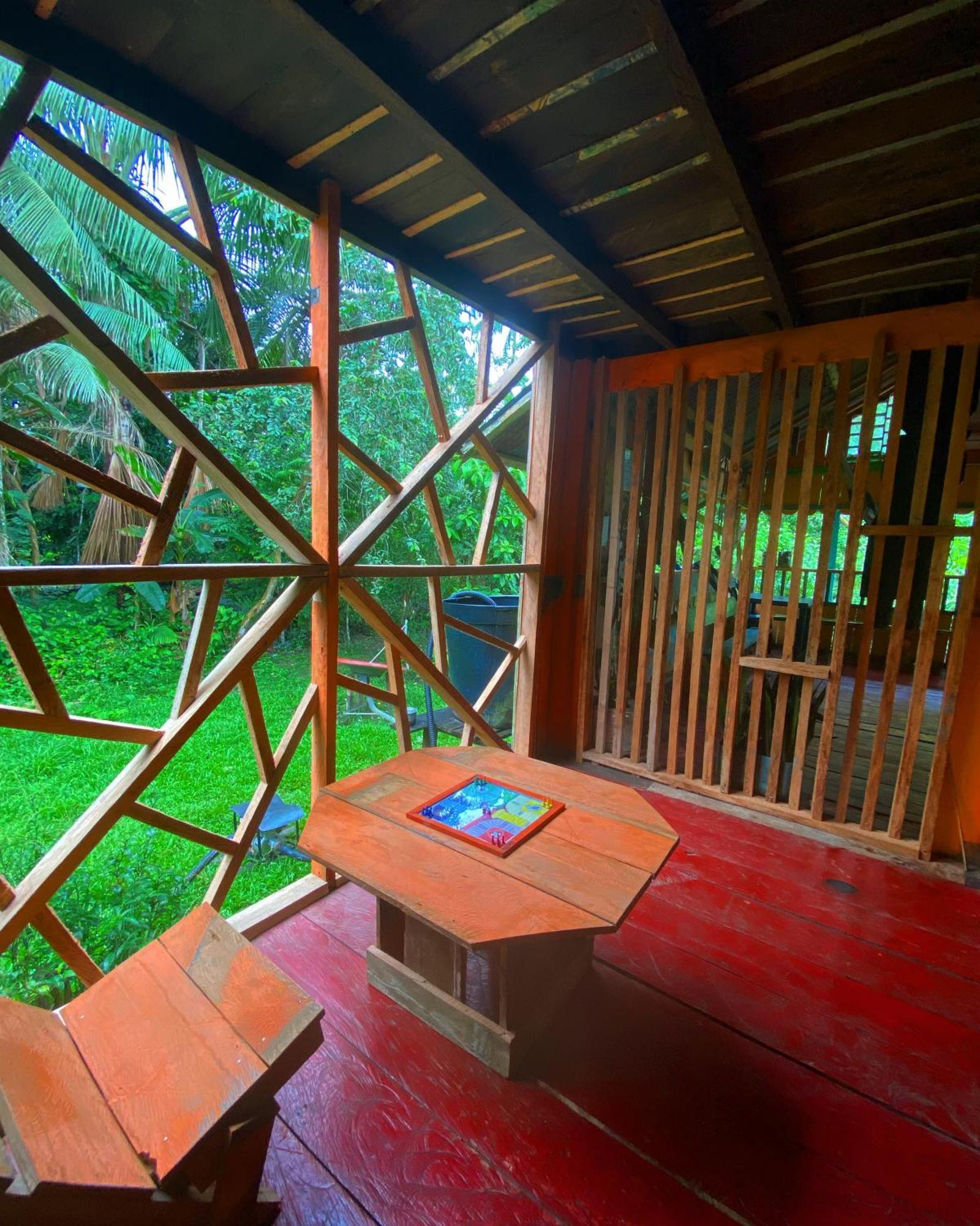Hostal Buho Amazonas Tours 莱蒂西亚 外观 照片