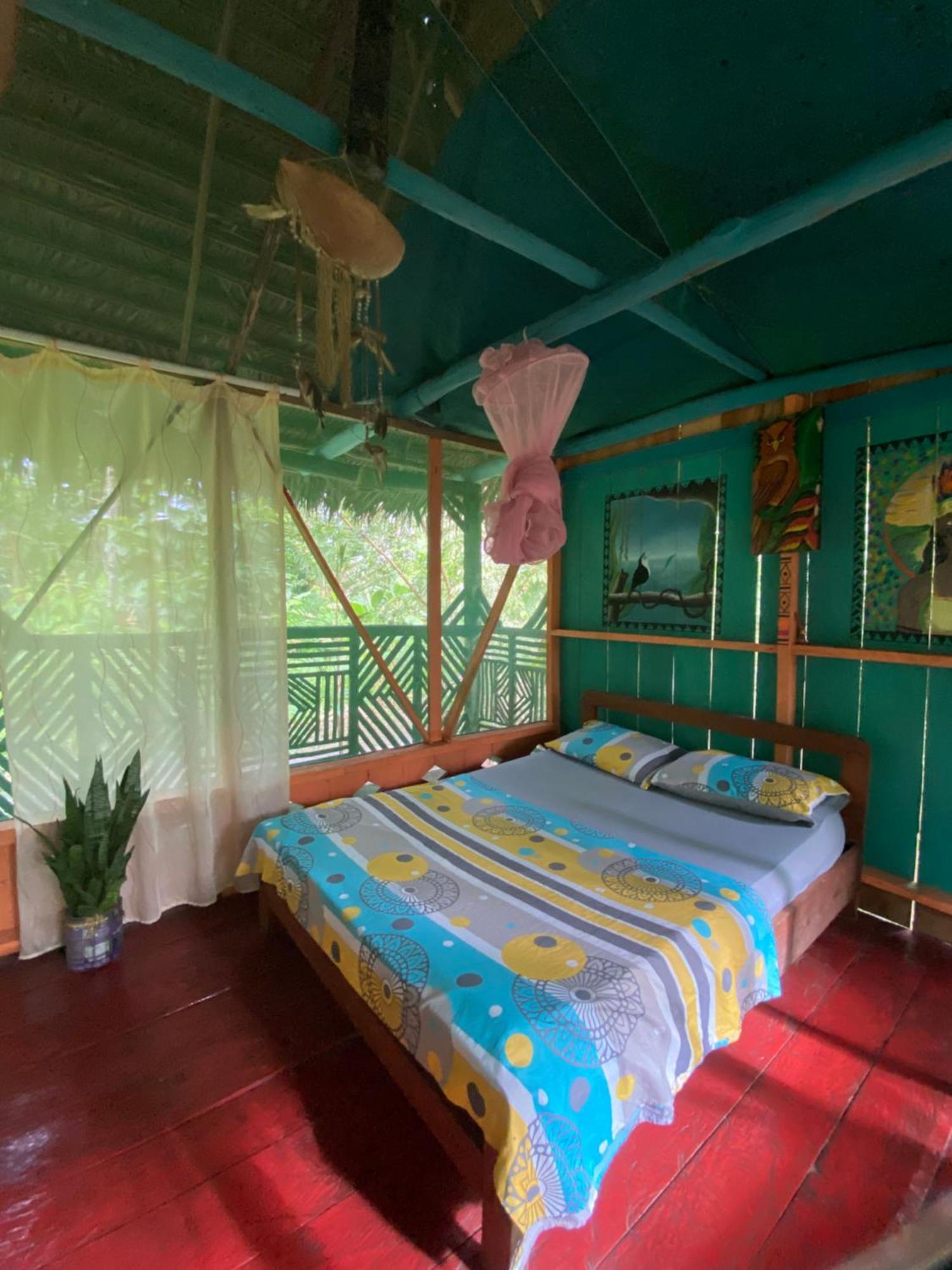 Hostal Buho Amazonas Tours 莱蒂西亚 外观 照片
