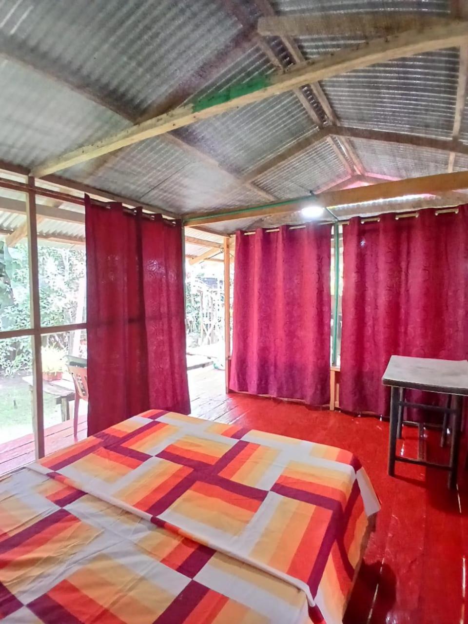 Hostal Buho Amazonas Tours 莱蒂西亚 外观 照片