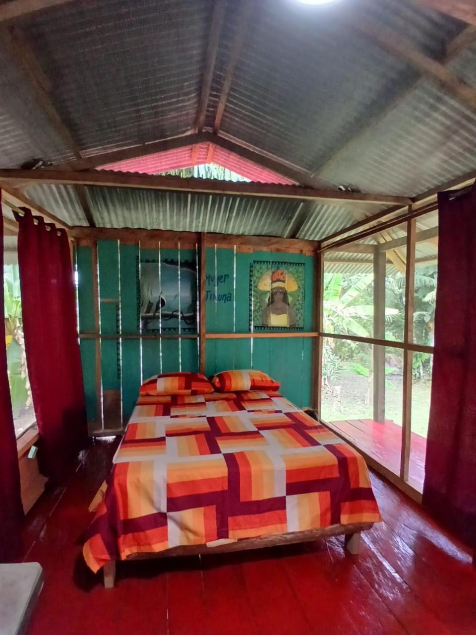 Hostal Buho Amazonas Tours 莱蒂西亚 外观 照片